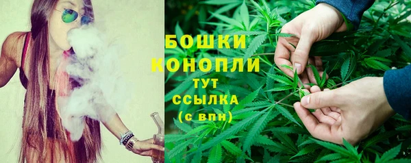 PSILOCYBIN Абдулино