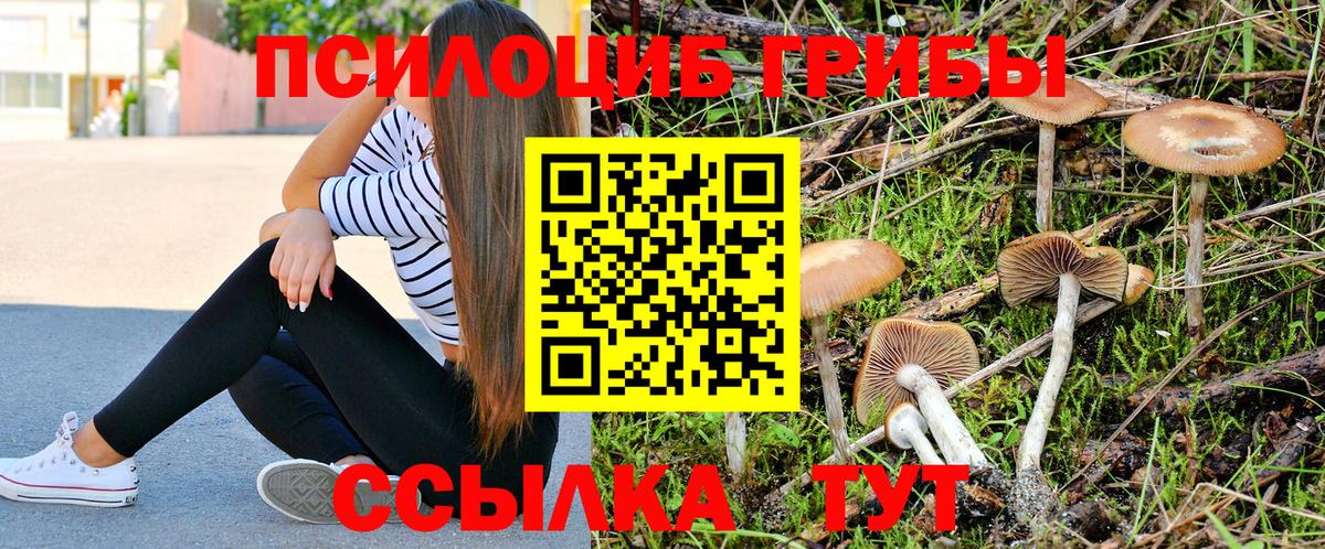 Псилоцибиновые грибы GOLDEN TEACHER Алатырь
