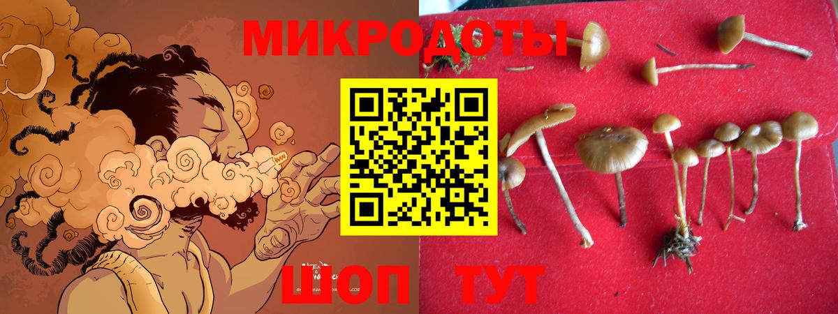 Псилоцибиновые грибы ЛСД  Вход с VPN  Алатырь 